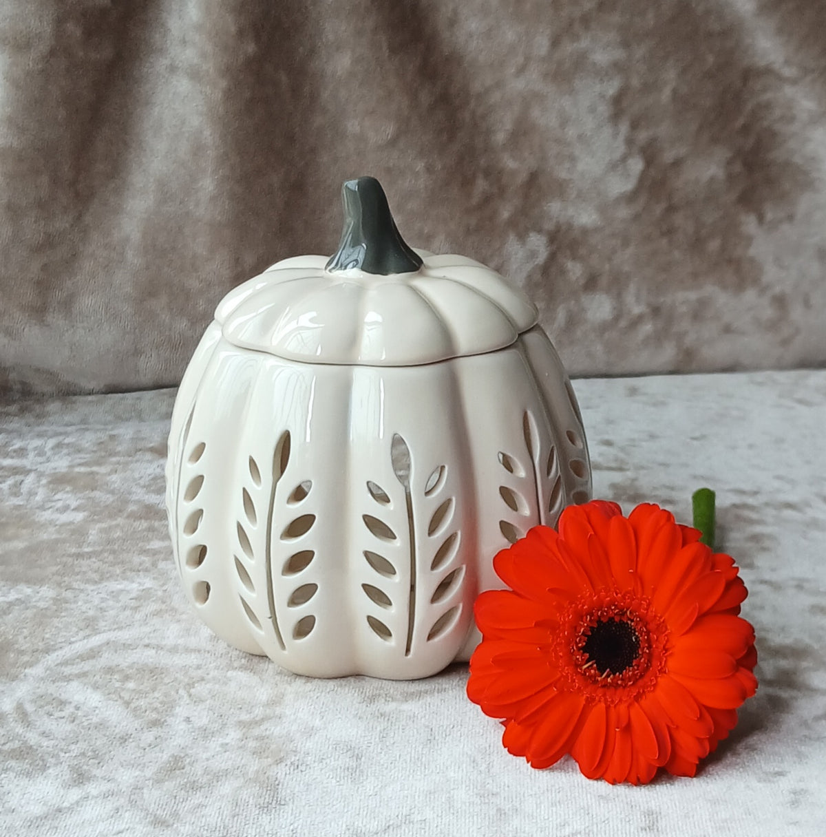 Cream Pumpkin Wax Melt Burner
