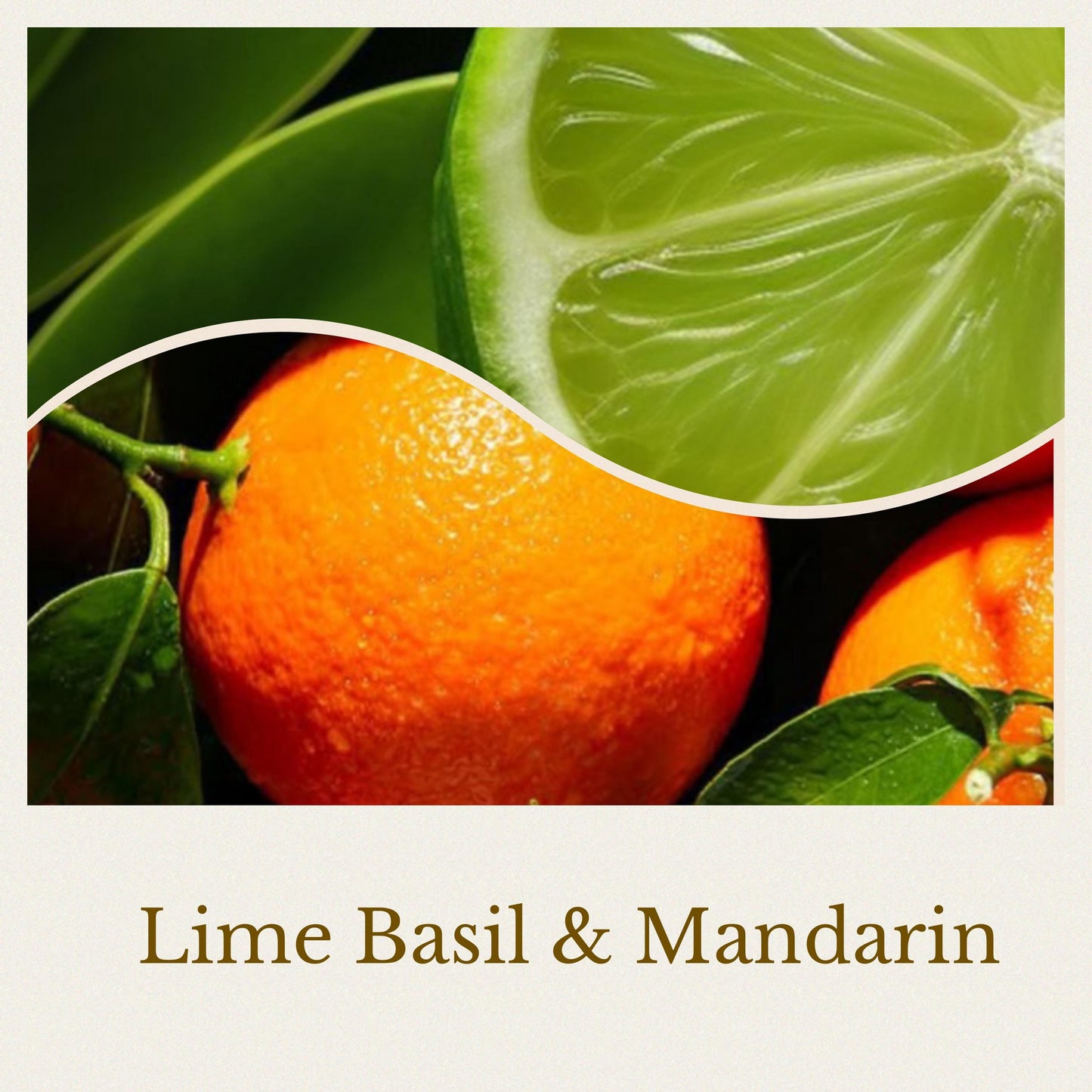 Lime Basil & Mandarin Wax Melts