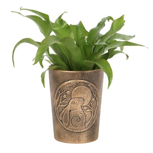 Moon Gazing Hare  Bronze Terracotta Plant Pot by Lisa Parker